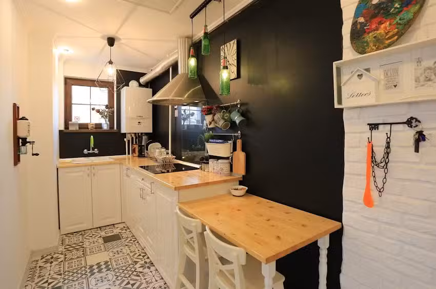 Cazare Norsk Skogkatt Galati