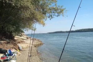 Cazare Pe Dunare Giurgiu – „La Fane” – Ponton la Dunare