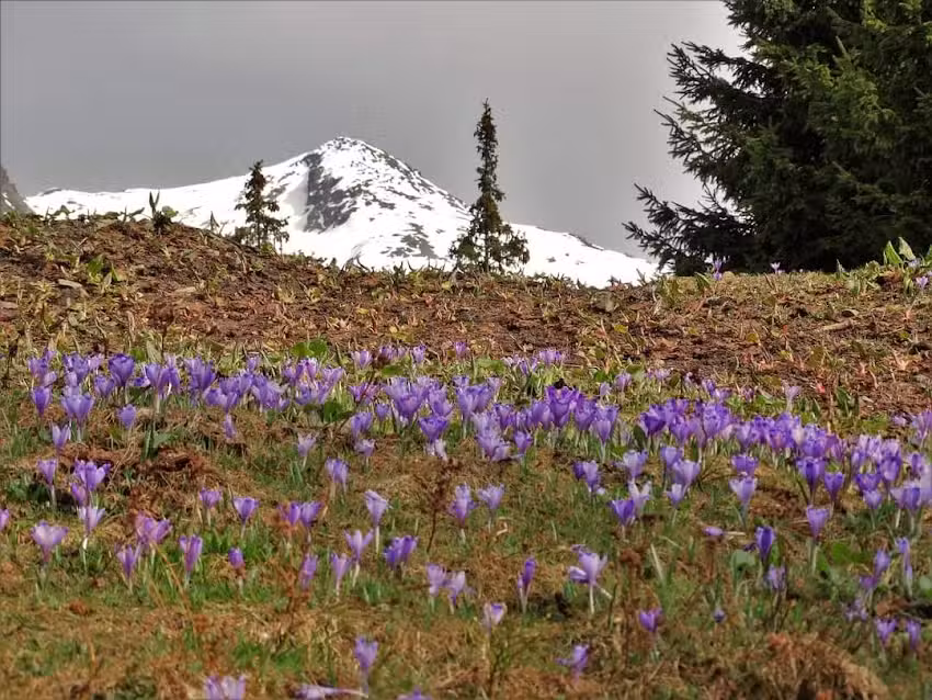 Cazare pensiuni -Porumbacu -Avrig-Transfăgărăsan-Făgăraș-Sibiu
