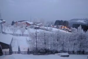 Cazare Petrosani – Pensiunea Bujor de Munte