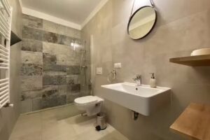 Cazare Regim Hotelier – ALENI Apartments Brasov (1)