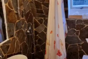 Cazare Sapanta, Maramures – Pensiune Receptie Non-Stop