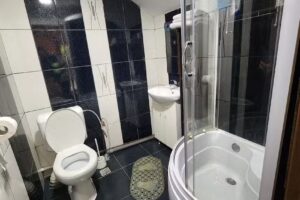 Cazare Vila Curtea de Arges Accommodation