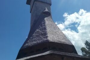 Cerbul Carpatin pension