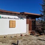 Chalet Glasul Pădurii