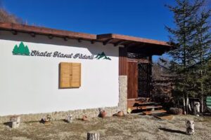 Chalet Glasul Pădurii