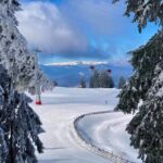 Chic Studio Silver Mountain Poiana-Brasov