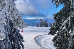 Chic Studio Silver Mountain Poiana-Brasov