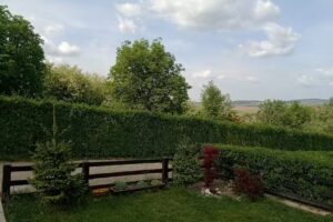 Chiticeni Casa Alessia