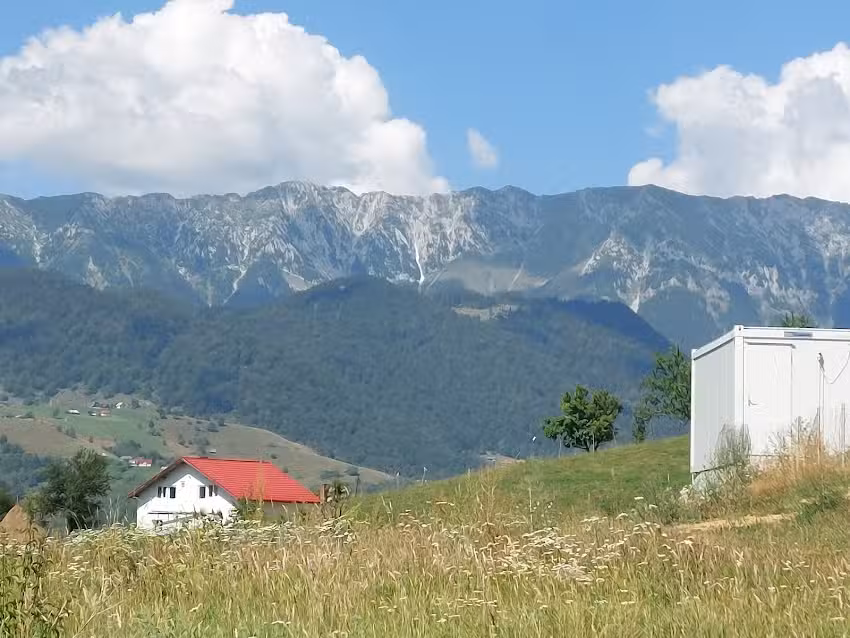 Codru Verde
