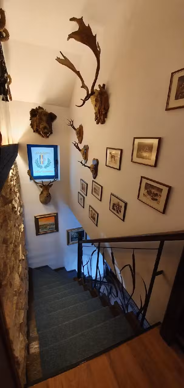 Coliba Vânătorilor