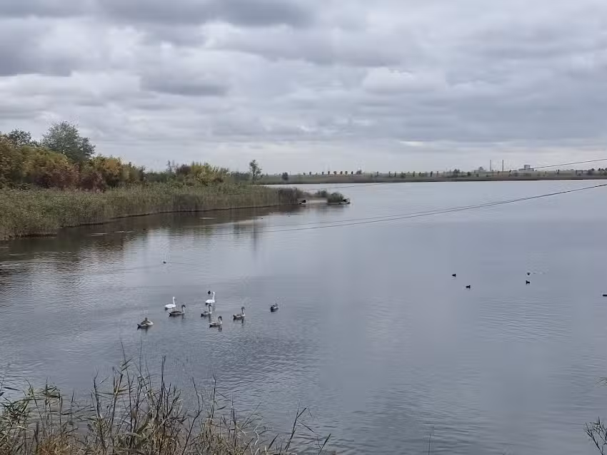 Complex Balnear Parc