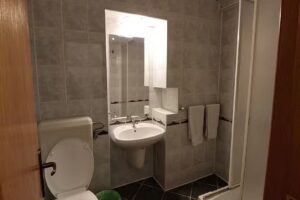 Complex Hotelier Haiducului