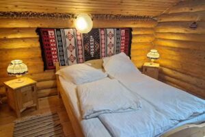 Complex Hotelier Turist Șuior