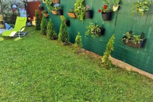 COMPLEX SARA BAILE TUSNAD