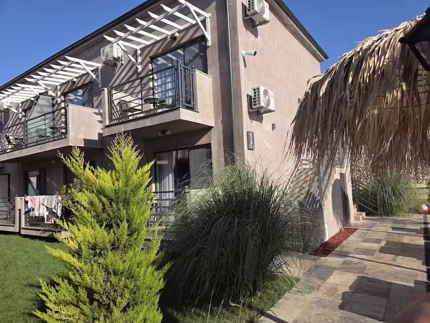 Complex Sea Stars 2Mai