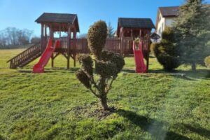 Complex Turistic Darina Sancraiu de Mures