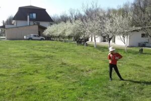 Complex Turistic Vlascuta