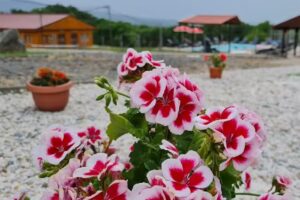 Complex Turistic Zolt