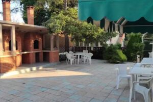 Complex Vile Paflora Saturn