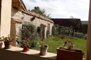 Convivium Trasilvania