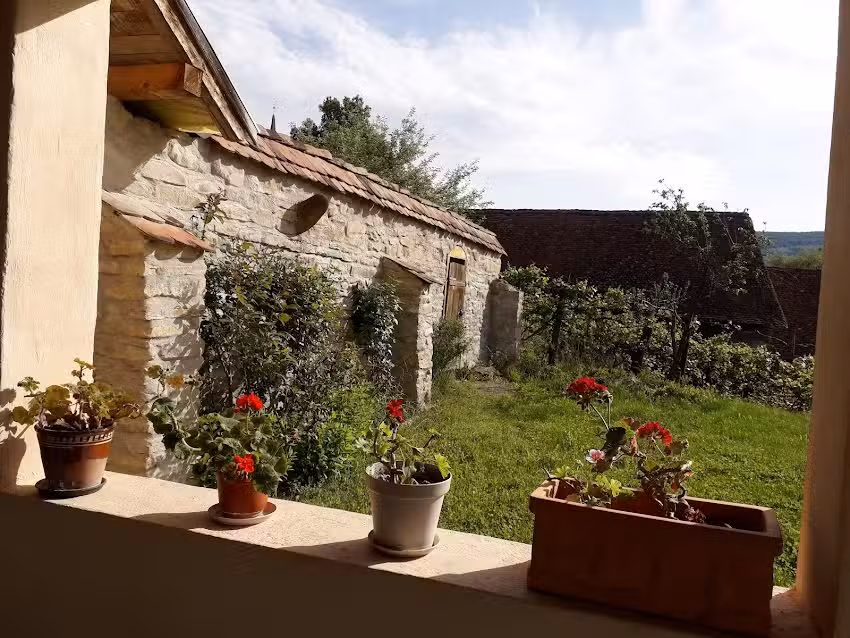 Convivium Trasilvania