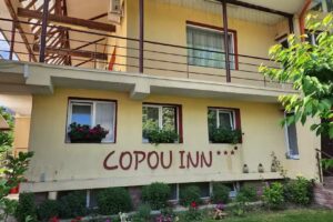 Copou Inn – 3*
