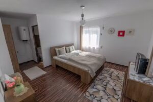 Country House Hățăgel