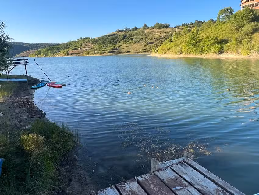 Cozy Lake House
