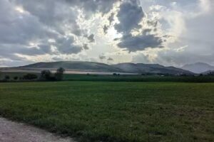 Cristel-Căsuța fără gânduri