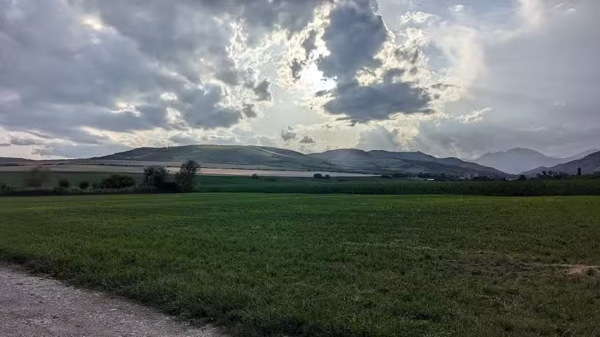 Cristel-Căsuța fără gânduri