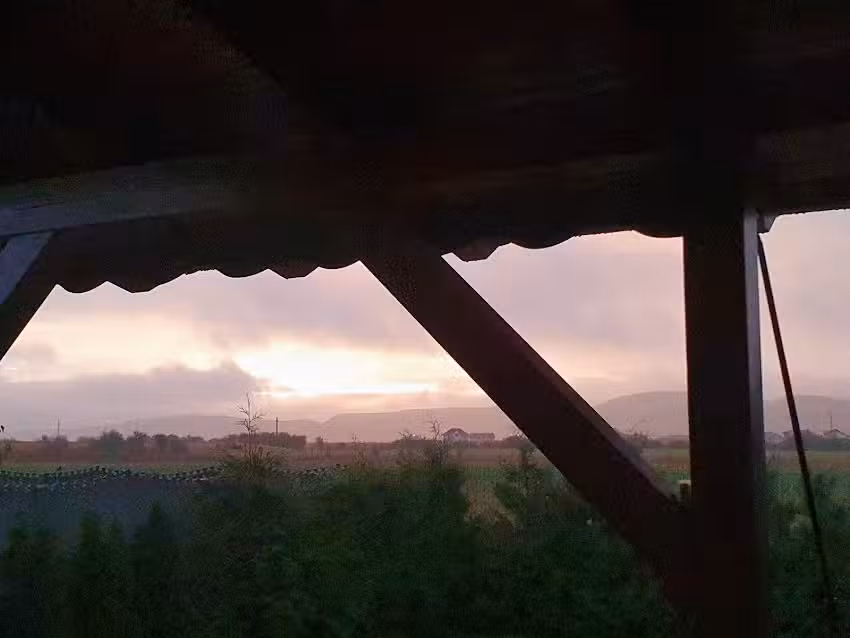 Cristian Str. XXIV Nr. 71