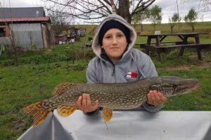 Crocodyl Dande Marghita