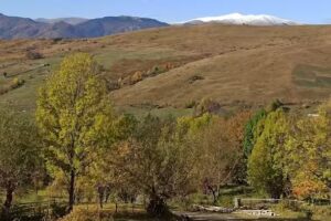 Curtea de Muscel – Hub de Vara