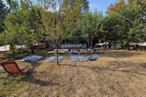 Curtea lui Nea Petrica