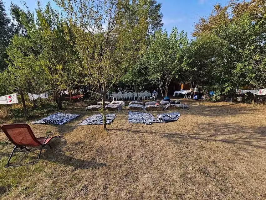 Curtea lui Nea Petrica