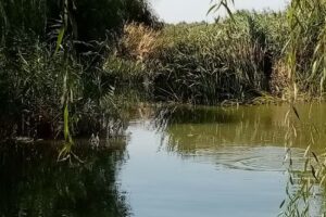 Danube Delta Sulina Homestay Hostel