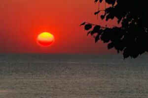 Daria Hotel Boutique