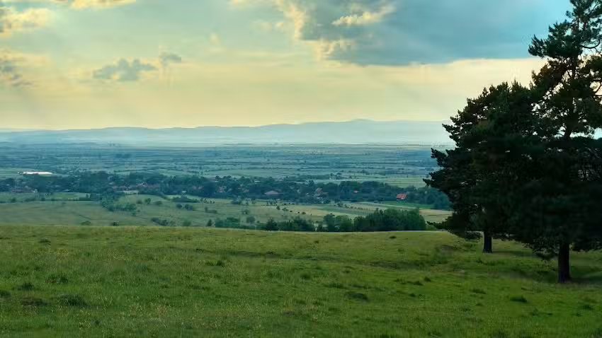 Debreczi