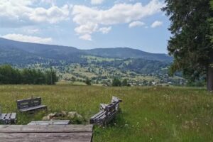 Deja View Cabin&Camp