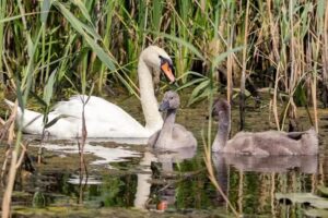 Delta Paradis Resort