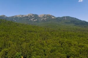 Domeniul Bucuria (Cheia)