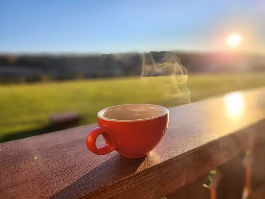 Domeniul Țara Codrului