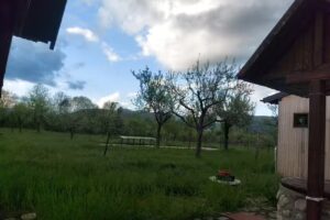 Domnesti Artist’s House