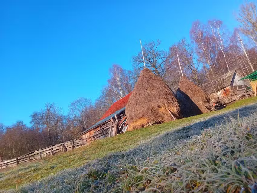 Enjoy Your Holiday on Wonder Transylvania