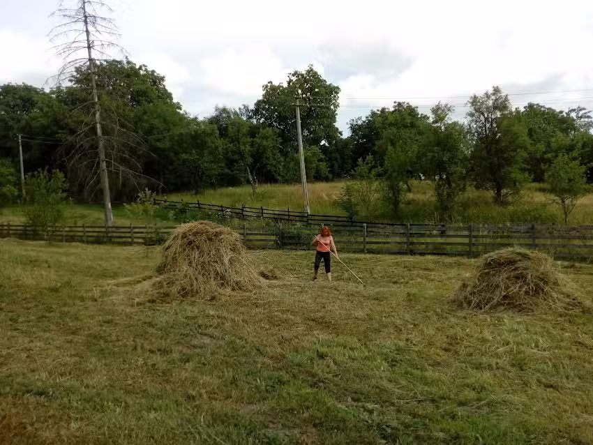 Enlaka Dancs Vendeghazak