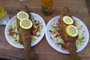 Erdőszéli Pisztrágos Vendégház