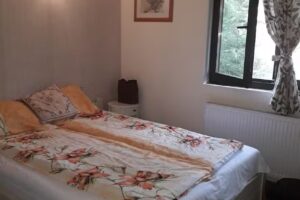 Erdőszéli Székely panzió – Complex Turistic Bege Resort