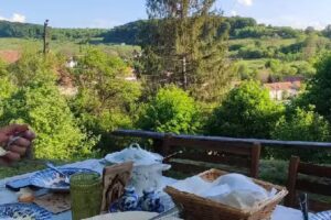 Experience Transylvania – Alma Vii 103