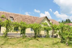 Experience Transylvania – Alma Vii 104